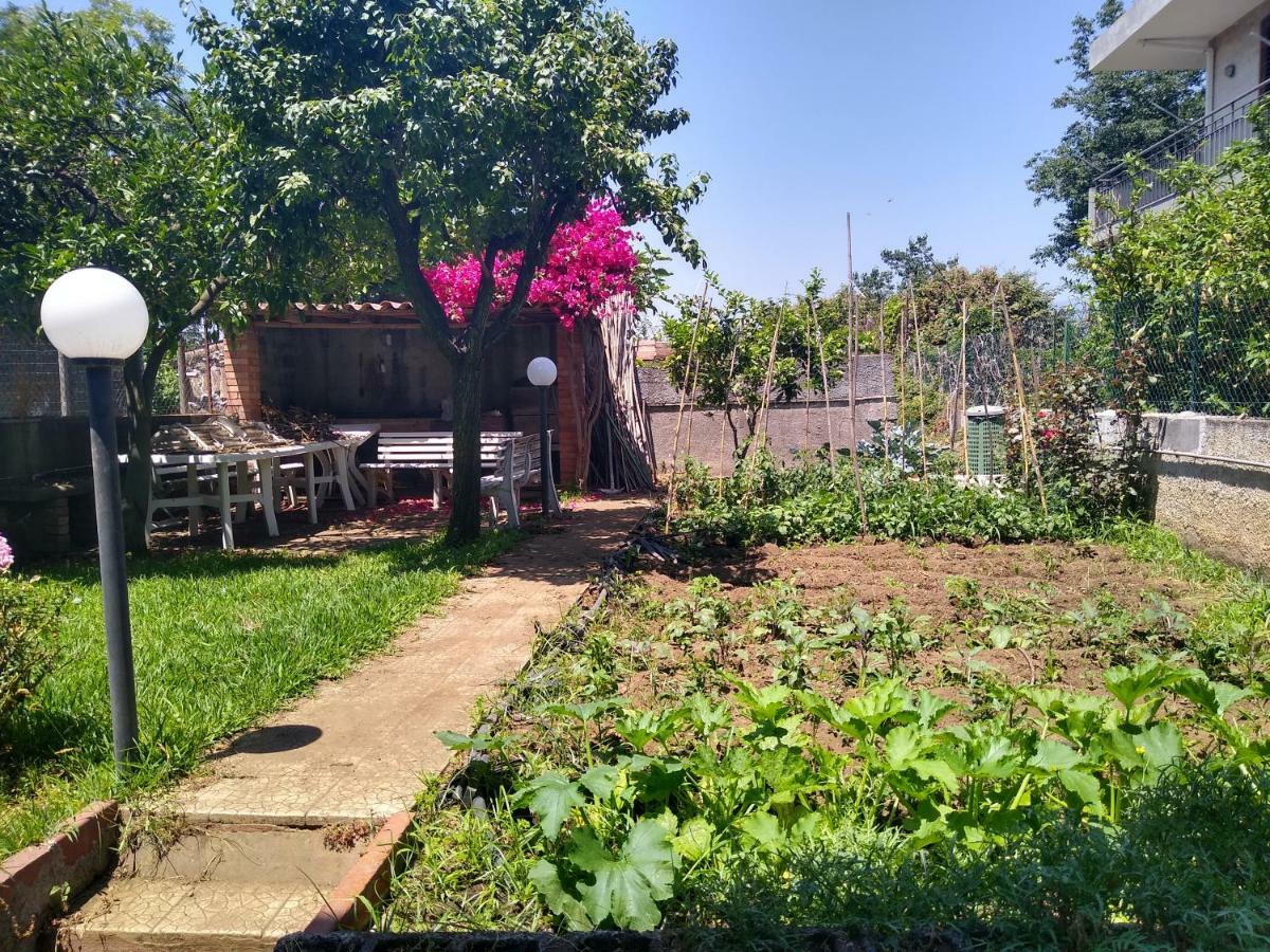 Route 114 Daire Acireale Dış mekan fotoğraf